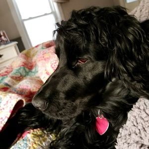 Meet your Posher, Jacqueline